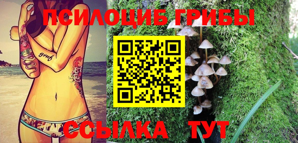 Псилоцибиновые грибы прущие грибы  Галлюциногенные грибы Psilocybine cubensis  Лабинск  Вход с VPN 