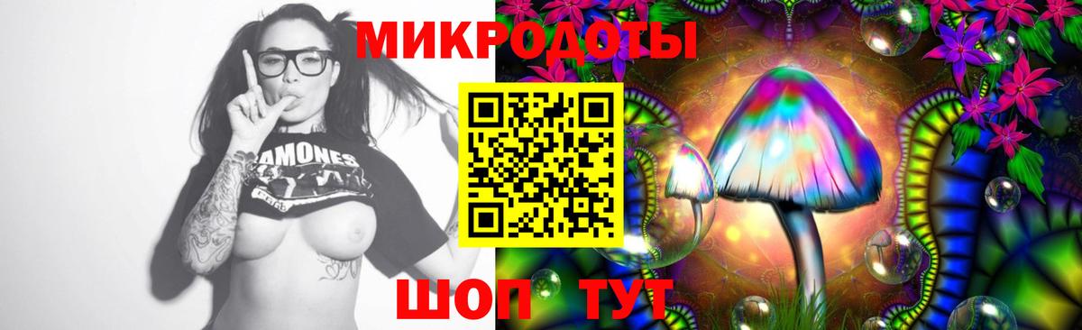 Галлюциногенные грибы мухоморы Лабинск